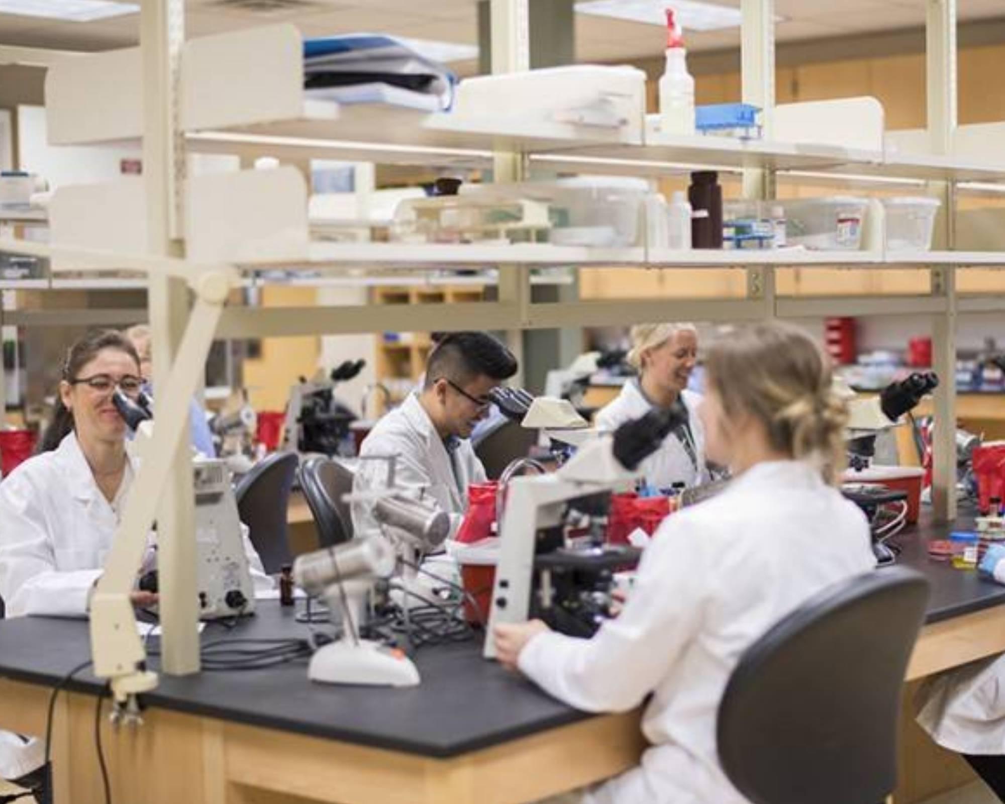 Students Working in a CHS Lab